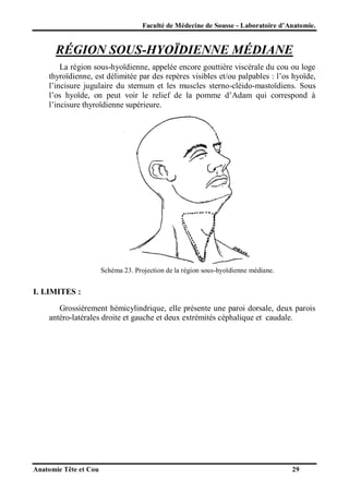 Faculté de Médecine de Sousse - Laboratoire d’Anatomie.

RÉGION SOUS-HYOÏDIENNE MÉDIANE
La région sous-hyoïdienne, appelée encore gouttière viscérale du cou ou loge
thyroïdienne, est délimitée par des repères visibles et/ou palpables : l’os hyoïde,
l’incisure jugulaire du sternum et les muscles sterno-cléido-mastoïdiens. Sous
l’os hyoïde, on peut voir le relief de la pomme d’Adam qui correspond à
l’incisure thyroïdienne supérieure.

Schéma 23. Projection de la région sous-hyoïdienne médiane.

I. LIMITES :
Grossièrement hémicylindrique, elle présente une paroi dorsale, deux parois
antéro-latérales droite et gauche et deux extrémités céphalique et caudale.

Anatomie Tête et Cou

29

 