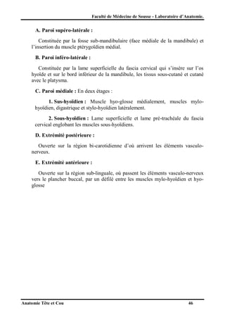 Faculté de Médecine de Sousse - Laboratoire d’Anatomie.

A. Paroi supéro-latérale :
Constituée par la fosse sub-mandibulaire (face médiale de la mandibule) et
l’insertion du muscle ptérygoïdien médial.
B. Paroi inféro-latérale :
Constituée par la lame superficielle du fascia cervical qui s’insère sur l’os
hyoïde et sur le bord inférieur de la mandibule, les tissus sous-cutané et cutané
avec le platysma.
C. Paroi médiale : En deux étages :
1. Sus-hyoïdien : Muscle hyo-glosse médialement, muscles mylohyoïdien, digastrique et stylo-hyoïdien latéralement.
2. Sous-hyoïdien : Lame superficielle et lame pré-trachéale du fascia
cervical englobant les muscles sous-hyoïdiens.
D. Extrémité postérieure :
Ouverte sur la région bi-carotidienne d’où arrivent les éléments vasculonerveux.
E. Extrémité antérieure :
Ouverte sur la région sub-linguale, où passent les éléments vasculo-nerveux
vers le plancher buccal, par un défilé entre les muscles mylo-hyoïdien et hyoglosse

Anatomie Tête et Cou

46

 