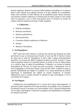 Faculté de Médecine de Sousse - Laboratoire d’Anatomie.

postéro-supérieur, détache à ce niveau l’artère palatine ascendante, et se retrouve
entre la face latérale de la glande salivaire et la face médiale de la mandibule.
Enfin, elle contourne le bord inférieur de la mandibule (pouls facial), présente
une dernière courbure supérieure et remonte dans les plans cutané et sous-cutané
entre les peauciers, vers le sillon naso-génien pour se terminer au niveau du
canthus orbitaire médial en devenant l’artère angulaire.
3. Collatérales :
 Palatine ascendante,
 Rameaux tonsillaires,
 Rameaux glandulaires,
 Sub-mentonnière,
 Coronaires labiales supérieure et inférieure,
 Nasales,
 Rameaux musculaires.
C. Nerf hypoglosse :
XIIème paire des nerfs crâniens, il naît par des racines qui émergent du sillon
pré-olivaire et qui se réunissent pour former le tronc du XII. Il traverse la base
du crâne par le canal de l’hypoglosse et arrive dans l’espace infra-parotidien
postérieur, où il reçoit des fibres d’emprunt du plexus cervical. Ensuite, il passe
entre la jugulaire interne et la carotide interne, en arrière et sous le rideau stylien
et se retrouve dans la région bi-carotidienne. Il détache à ce niveau la branche
descendante du XII qui, au niveau du creux sus-clavier, s’anastomose avec le
nerf sympathique cervical pour former l’anse du XII. Enfin, il pénètre la loge en
passant médialement par rapport à la glande et au ventre postérieur du muscle
digastrique et latéralement par rapport au muscle hyoglosse. Il remonte
obliquement sous le conduit salivaire et pénètre la loge sub-linguale. C’est le
nerf moteur de la langue.
D. Nerf lingual :
Collatéral du nerf mandibulaire (V3), il arrive de la fosse infra-temporale et
parcourt la partie supérieure de la loge au-dessus de la glande, sous la muqueuse
du plancher buccal et au-dessus du mylo-hyoïdien. Puis il descend obliquement
vers la région sub-linguale. Il présente le ganglion sub-mandibulaire d’où partent
les rameaux salivaires.

Anatomie Tête et Cou

48

 