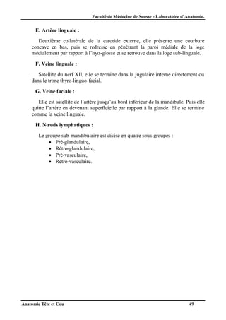 Faculté de Médecine de Sousse - Laboratoire d’Anatomie.

E. Artère linguale :
Deuxième collatérale de la carotide externe, elle présente une courbure
concave en bas, puis se redresse en pénétrant la paroi médiale de la loge
médialement par rapport à l’hyo-glosse et se retrouve dans la loge sub-linguale.
F. Veine linguale :
Satellite du nerf XII, elle se termine dans la jugulaire interne directement ou
dans le tronc thyro-linguo-facial.
G. Veine faciale :
Elle est satellite de l’artère jusqu’au bord inférieur de la mandibule. Puis elle
quitte l’artère en devenant superficielle par rapport à la glande. Elle se termine
comme la veine linguale.
H. Nœuds lymphatiques :
Le groupe sub-mandibulaire est divisé en quatre sous-groupes :
 Pré-glandulaire,
 Rétro-glandulaire,
 Pré-vasculaire,
 Rétro-vasculaire.

Anatomie Tête et Cou

49

 