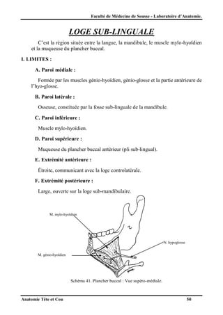 Faculté de Médecine de Sousse - Laboratoire d’Anatomie.

LOGE SUB-LINGUALE
C’est la région située entre la langue, la mandibule, le muscle mylo-hyoïdien
et la muqueuse du plancher buccal.
I. LIMITES :
A. Paroi médiale :
Formée par les muscles génio-hyoïdien, génio-glosse et la partie antérieure de
l’hyo-glosse.
B. Paroi latérale :
Osseuse, constituée par la fosse sub-linguale de la mandibule.
C. Paroi inférieure :
Muscle mylo-hyoïdien.
D. Paroi supérieure :
Muqueuse du plancher buccal antérieur (pli sub-lingual).
E. Extrémité antérieure :
Étroite, communicant avec la loge controlatérale.
F. Extrémité postérieure :
Large, ouverte sur la loge sub-mandibulaire.

M. mylo-hyoïdien

N. hypoglosse
M. génio-hyoïdien

Schéma 41. Plancher buccal : Vue supéro-médiale.

Anatomie Tête et Cou

50

 