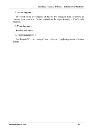 Faculté de Médecine de Sousse - Laboratoire d’Anatomie.

E. Artère linguale :
Elle court sur la face médiale et devient très sinueuse. Elle se termine en
donnant deux branches : l’artère profonde de la langue (ranine) et l’artère sublinguale.
F. Veine linguale :
Satellite de l’artère.
G. Veines accessoires :
Satellites du XII et accompagnées de collecteurs lymphatiques sans véritables
nœuds.

Anatomie Tête et Cou

52

 