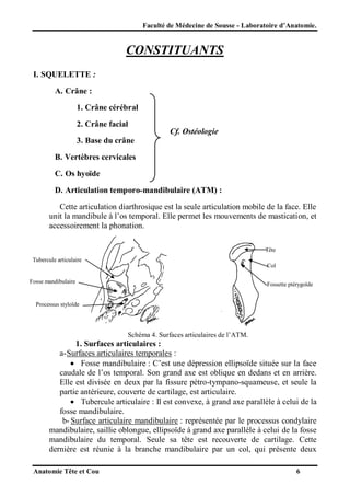 Faculté de Médecine de Sousse - Laboratoire d’Anatomie.

CONSTITUANTS
I. SQUELETTE :
A. Crâne :
1. Crâne cérébral
2. Crâne facial

Cf. Ostéologie

3. Base du crâne
B. Vertèbres cervicales
C. Os hyoïde
D. Articulation temporo-mandibulaire (ATM) :
Cette articulation diarthrosique est la seule articulation mobile de la face. Elle
unit la mandibule à l’os temporal. Elle permet les mouvements de mastication, et
accessoirement la phonation.
Tête
Tubercule articulaire
Col
Fosse mandibulaire

Fossette ptérygoïde

Processus styloïde

Schéma 4. Surfaces articulaires de l’ATM.

1. Surfaces articulaires :
a- Surfaces articulaires temporales :
 Fosse mandibulaire : C’est une dépression ellipsoïde située sur la face
caudale de l’os temporal. Son grand axe est oblique en dedans et en arrière.
Elle est divisée en deux par la fissure pétro-tympano-squameuse, et seule la
partie antérieure, couverte de cartilage, est articulaire.
 Tubercule articulaire : Il est convexe, à grand axe parallèle à celui de la
fosse mandibulaire.
b- Surface articulaire mandibulaire : représentée par le processus condylaire
mandibulaire, saillie oblongue, ellipsoïde à grand axe parallèle à celui de la fosse
mandibulaire du temporal. Seule sa tête est recouverte de cartilage. Cette
dernière est réunie à la branche mandibulaire par un col, qui présente deux
Anatomie Tête et Cou

6

 