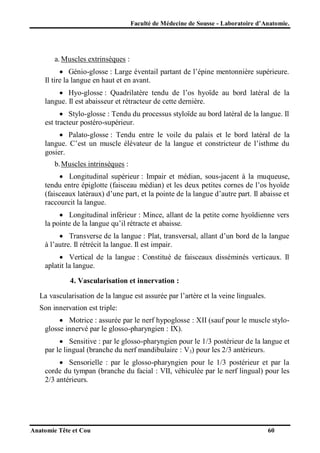 Faculté de Médecine de Sousse - Laboratoire d’Anatomie.

a. Muscles extrinsèques :
 Génio-glosse : Large éventail partant de l’épine mentonnière supérieure.
Il tire la langue en haut et en avant.
 Hyo-glosse : Quadrilatère tendu de l’os hyoïde au bord latéral de la
langue. Il est abaisseur et rétracteur de cette dernière.
 Stylo-glosse : Tendu du processus styloïde au bord latéral de la langue. Il
est tracteur postéro-supérieur.
 Palato-glosse : Tendu entre le voile du palais et le bord latéral de la
langue. C’est un muscle élévateur de la langue et constricteur de l’isthme du
gosier.
b. Muscles intrinsèques :
 Longitudinal supérieur : Impair et médian, sous-jacent à la muqueuse,
tendu entre épiglotte (faisceau médian) et les deux petites cornes de l’os hyoïde
(faisceaux latéraux) d’une part, et la pointe de la langue d’autre part. Il abaisse et
raccourcit la langue.
 Longitudinal inférieur : Mince, allant de la petite corne hyoïdienne vers
la pointe de la langue qu’il rétracte et abaisse.
 Transverse de la langue : Plat, transversal, allant d’un bord de la langue
à l’autre. Il rétrécit la langue. Il est impair.
 Vertical de la langue : Constitué de faisceaux disséminés verticaux. Il
aplatit la langue.
4. Vascularisation et innervation :
La vascularisation de la langue est assurée par l’artère et la veine linguales.
Son innervation est triple:
 Motrice : assurée par le nerf hypoglosse : XII (sauf pour le muscle styloglosse innervé par le glosso-pharyngien : IX).
 Sensitive : par le glosso-pharyngien pour le 1/3 postérieur de la langue et
par le lingual (branche du nerf mandibulaire : V3) pour les 2/3 antérieurs.
 Sensorielle : par le glosso-pharyngien pour le 1/3 postérieur et par la
corde du tympan (branche du facial : VII, véhiculée par le nerf lingual) pour les
2/3 antérieurs.

Anatomie Tête et Cou

60

 