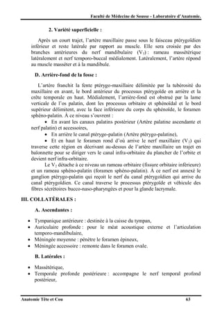 Faculté de Médecine de Sousse - Laboratoire d’Anatomie.

2. Variété superficielle :
Après un court trajet, l’artère maxillaire passe sous le faisceau ptérygoïdien
inférieur et reste latérale par rapport au muscle. Elle sera croisée par des
branches antérieures du nerf mandibulaire (V3) : rameau massétérique
latéralement et nerf temporo-buccal médialement. Latéralement, l’artère répond
au muscle masséter et à la mandibule.
D. Arrière-fond de la fosse :
L’artère franchit la fente ptérygo-maxillaire délimitée par la tubérosité du
maxillaire en avant, le bord antérieur du processus ptérygoïde en arrière et la
crête temporale en haut. Médialement, l’arrière-fond est obstrué par la lame
verticale de l’os palatin, dont les processus orbitaire et sphénoïdal et le bord
supérieur délimitent, avec la face inférieure du corps du sphénoïde, le foramen
sphéno-palatin. À ce niveau s’ouvrent :
 En avant les canaux palatins postérieur (Artère palatine ascendante et
nerf palatin) et accessoires,
 En arrière le canal ptérygo-palatin (Artère ptérygo-palatine),
 Et en haut le foramen rond d’où arrive le nerf maxillaire (V 2) qui
traverse cette région en décrivant au-dessus de l’artère maxillaire un trajet en
baïonnette pour se diriger vers le canal infra-orbitaire du plancher de l’orbite et
devient nerf infra-orbitaire.
Le V2 détache à ce niveau un rameau orbitaire (fissure orbitaire inférieure)
et un rameau sphéno-palatin (foramen sphéno-palatin). À ce nerf est annexé le
ganglion ptérygo-palatin qui reçoit le nerf du canal ptérygoïdien qui arrive du
canal ptérygoïdien. Ce canal traverse le processus ptérygoïde et véhicule des
fibres sécrétoires bucco-naso-pharyngées et pour la glande lacrymale.
III. COLLATÉRALES :
A. Ascendantes :
 Tympanique antérieure : destinée à la caisse du tympan,
 Auriculaire profonde : pour le méat acoustique externe et l’articulation
temporo-mandibulaire,
 Méningée moyenne : pénètre le foramen épineux,
 Méningée accessoire : remonte dans le foramen ovale.
B. Latérales :
 Massétérique,
 Temporale profonde postérieure : accompagne le nerf temporal profond
postérieur,

Anatomie Tête et Cou

63

 