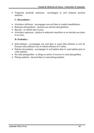 Faculté de Médecine de Sousse - Laboratoire d’Anatomie.

 Temporale profonde antérieure : accompagne le nerf temporal profond
antérieur.
C. Descendante :





Alvéolaire inférieure : accompagne son nerf dans le conduit mandibulaire,
Rameaux ptérygoïdiens : destinés aux muscles ptérygoïdiens,
Buccale : se ramifie dans la joue,
Alvéolaire supérieure : pénètre la tubérosité maxillaire et est destinée aux dents
et au sinus.
D. Profondes :

 Infra-orbitaire : accompagne son nerf dans le canal infra-orbitaire et sort du
foramen infra-orbitaire sous le rebord inférieur de l’orbite,
 Palatine descendante : accompagne le nerf palatin dans le canal palatin pour la
voûte palatine,
 Du canal ptérygoïdien : se dirige en arrière et traverse le canal ptérygoïdien,
 Ptérygo-palatine : descend dans le canal ptérygo-palatin.

Anatomie Tête et Cou

64

 