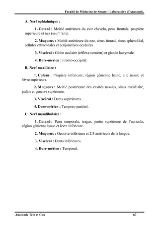 Faculté de Médecine de Sousse - Laboratoire d’Anatomie.

A. Nerf ophtalmique :
1. Cutané : Moitié antérieure du cuir chevelu, peau frontale, paupière
supérieure et nez (sauf l’aile).
2. Muqueux : Moitié antérieure du nez, sinus frontal, sinus sphénoïdal,
cellules ethmoïdales et conjonctives oculaires.
3. Viscéral : Globe oculaire (réflexe cornéen) et glande lacrymale.
4. Dure-mérien : Fronto-occipital.
B. Nerf maxillaire :
1. Cutané : Paupière inférieure, région génienne haute, aile nasale et
lèvre supérieure.
2. Muqueux : Moitié postérieure des cavités nasales, sinus maxillaire,
palais et gencive supérieure.
3. Viscéral : Dents supérieures.
4. Dure-mérien : Temporo-pariétal.
C. Nerf mandibulaire :
1. Cutané : Peau temporale, tragus, partie supérieure de l’auricule,
région génienne basse et lèvre inférieure.
2. Muqueux : Gencive inférieure et 2/3 antérieurs de la langue.
3. Viscéral : Dents inférieures.
4. Dure-mérien : Temporal.

Anatomie Tête et Cou

67

 