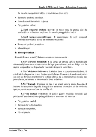 Faculté de Médecine de Sousse - Laboratoire d’Anatomie.

du muscle ptérygoïdien latéral et se divise en trois nerfs :
 Temporal profond antérieur,
 Buccal (sensitif destiné à la joue),
 Ptérygoïdien latéral.
2. Nerf temporal profond moyen : Il passe entre la grande aile du
sphénoïde et le faisceau supérieur du muscle ptérygoïdien latéral.
3. Nerf temporo-massétérique : Il accompagne le nerf temporal
profond moyen et se divise en donnant deux nerfs :
 Temporal profond postérieur,
 Massétérique.
B. Tronc postérieur :
Essentiellement sensitif, il donne naissance à quatre nerfs :
1. Nerf auriculo-temporal : Il se dirige en arrière vers la boutonnière
rétro-condylienne et se retrouve dans la loge parotidienne, puis se dirige vers la
région temporale avec le pédicule vasculaire temporal superficiel.
2. Nerf alvéolaire inférieur : Il pénètre dans le conduit mandibulaire. Il
est destiné à la gencive et aux dents mandibulaires. Il donnera le nerf mentonnier
qui sort du foramen mentonnier à la face latérale de la mandibule au niveau des
prémolaires, et innerve le menton et la lèvre inférieure.
3. Nerf lingual : Concave en bas et en avant vers la cavité buccale, il
innerve la muqueuse linguale. Il reçoit des rameaux sécrétoires de la corde du
tympan, anastomose arrivant du nerf facial.
4. Tronc moteur commun : Il donne quatre branches motrices qui
perforent l’aponévrose inter-ptérygoïdienne et innervent les muscles :
 Ptérygoïdien médial,
 Tenseur du voile du palais,
 Tenseur du tympan,
 Péri-staphylin.

Anatomie Tête et Cou

69

 