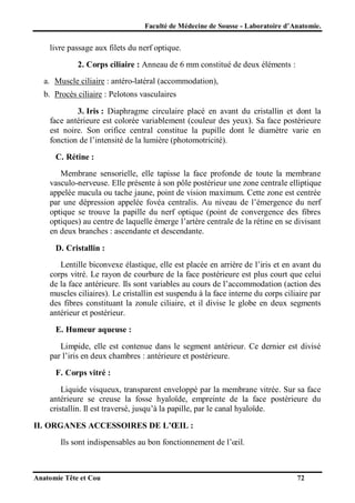 Faculté de Médecine de Sousse - Laboratoire d’Anatomie.

livre passage aux filets du nerf optique.
2. Corps ciliaire : Anneau de 6 mm constitué de deux éléments :
a. Muscle ciliaire : antéro-latéral (accommodation),
b. Procès ciliaire : Pelotons vasculaires
3. Iris : Diaphragme circulaire placé en avant du cristallin et dont la
face antérieure est colorée variablement (couleur des yeux). Sa face postérieure
est noire. Son orifice central constitue la pupille dont le diamètre varie en
fonction de l’intensité de la lumière (photomotricité).
C. Rétine :
Membrane sensorielle, elle tapisse la face profonde de toute la membrane
vasculo-nerveuse. Elle présente à son pôle postérieur une zone centrale elliptique
appelée macula ou tache jaune, point de vision maximum. Cette zone est centrée
par une dépression appelée fovéa centralis. Au niveau de l’émergence du nerf
optique se trouve la papille du nerf optique (point de convergence des fibres
optiques) au centre de laquelle émerge l’artère centrale de la rétine en se divisant
en deux branches : ascendante et descendante.
D. Cristallin :
Lentille biconvexe élastique, elle est placée en arrière de l’iris et en avant du
corps vitré. Le rayon de courbure de la face postérieure est plus court que celui
de la face antérieure. Ils sont variables au cours de l’accommodation (action des
muscles ciliaires). Le cristallin est suspendu à la face interne du corps ciliaire par
des fibres constituant la zonule ciliaire, et il divise le globe en deux segments
antérieur et postérieur.
E. Humeur aqueuse :
Limpide, elle est contenue dans le segment antérieur. Ce dernier est divisé
par l’iris en deux chambres : antérieure et postérieure.
F. Corps vitré :
Liquide visqueux, transparent enveloppé par la membrane vitrée. Sur sa face
antérieure se creuse la fosse hyaloïde, empreinte de la face postérieure du
cristallin. Il est traversé, jusqu’à la papille, par le canal hyaloïde.
II. ORGANES ACCESSOIRES DE L’ŒIL :
Ils sont indispensables au bon fonctionnement de l’œil.

Anatomie Tête et Cou

72

 