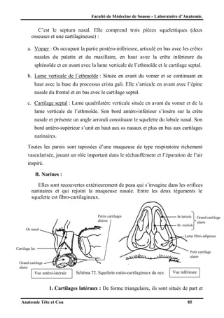 Faculté de Médecine de Sousse - Laboratoire d’Anatomie.

C’est le septum nasal. Elle comprend trois pièces squelettiques (deux
osseuses et une cartilagineuse) :
a. Vomer : Os occupant la partie postéro-inférieure, articulé en bas avec les crêtes
nasales du palatin et du maxillaire, en haut avec la crête inférieure du
sphénoïde et en avant avec la lame verticale de l’ethmoïde et le cartilage septal.
b. Lame verticale de l’ethmoïde : Située en avant du vomer et se continuant en
haut avec la base du processus crista gali. Elle s’articule en avant avec l’épine
nasale du frontal et en bas avec le cartilage septal.
c. Cartilage septal : Lame quadrilatère verticale située en avant du vomer et de la
lame verticale de l’ethmoïde. Son bord antéro-inférieur s’insère sur la crête
nasale et présente un angle arrondi constituant le squelette du lobule nasal. Son
bord antéro-supérieur s’unit en haut aux os nasaux et plus en bas aux cartilages
narinaires.
Toutes les parois sont tapissées d’une muqueuse de type respiratoire richement
vascularisée, jouant un rôle important dans le réchauffement et l’épuration de l’air
inspiré.
B. Narines :
Elles sont recouvertes extérieurement de peau qui s’invagine dans les orifices
narinaires et qui rejoint la muqueuse nasale. Entre les deux téguments le
squelette est fibro-cartilagineux.

Petits cartilages
alaires

Br.latérale
Br. médiale

Grand cartilage
alaire

Os nasal
Lame fibro-adipeuse
Cartilage lat.

Petit cartilage
alaire

Grand cartilage
alaire

Vue antéro-latérale

Schéma 72. Squelette ostéo-cartilagineux du nez.

Vue inférieure

1. Cartilages latéraux : De forme triangulaire, ils sont situés de part et
Anatomie Tête et Cou

85

 