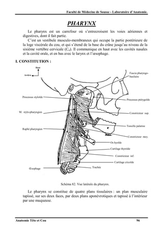 Faculté de Médecine de Sousse - Laboratoire d’Anatomie.

PHARYNX
Le pharynx est un carrefour où s’entrecroisent les voies aériennes et
digestives, dont il fait partie.
C’est un vestibule musculo-membraneux qui occupe la partie postérieure de
la loge viscérale du cou, et qui s’étend de la base du crâne jusqu’au niveau de la
sixième vertèbre cervicale (C6). Il communique en haut avec les cavités nasales
et la cavité orale, et en bas avec le larynx et l’œsophage.
I. CONSTITUTION :
Haut

Fascia pharyngobasilaire

Arrière

Processus styloïde
Processus ptérygoïde

M. stylo-pharyngien

Constricteur sup.

Tonsille palatine
Raphé pharyngien
Constricteur moy.
Os hyoïde
Cartilage thyroïde
Constricteur inf.
Cartilage cricoïde
Œsophage

Trachée

Schéma 82. Vue latérale du pharynx.

Le pharynx se constitue de quatre plans tissulaires : un plan musculaire
tapissé, sur ses deux faces, par deux plans aponévrotiques et tapissé à l’intérieur
par une muqueuse.

Anatomie Tête et Cou

96

 
