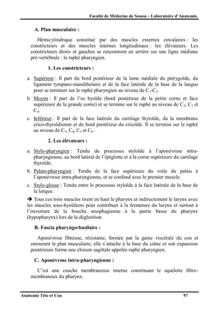 Faculté de Médecine de Sousse - Laboratoire d’Anatomie.

A. Plan musculaire :
Hémicylindrique constitué par des muscles externes circulaires : les
constricteurs et des muscles internes longitudinaux : les élévateurs. Les
constricteurs droits et gauches se rencontrent en arrière sur une ligne médiane
pré-vertébrale : le raphé pharyngien.
1. Les constricteurs :
a. Supérieur : Il part du bord postérieur de la lame médiale du ptérygoïde, du
ligament tympano-mandibulaire et de la face latérale de la base de la langue
pour se terminer sur le raphé pharyngien au niveau de C 1-C2.
b. Moyen : Il part de l’os hyoïde (bord postérieur de la petite corne et face
supérieure de la grande corne) et se termine sur le raphé au niveau de C 2, C3 et
C4.
c. Inférieur : Il part de la face latérale du cartilage thyroïde, da la membrane
crico-thyroïdienne et du bord postérieur du cricoïde. Il se termine sur le raphé
au niveau de C3, C4, C5 et C6.
2. Les élévateurs :
a. Stylo-pharyngien : Tendu du processus styloïde à l’aponévrose intrapharyngienne, au bord latéral de l’épiglotte et à la corne supérieure du cartilage
thyroïde.
b. Palato-pharyngien : Tendu de la face supérieure du voile du palais à
l’aponévrose intra-pharyngienne, et se confond avec le premier muscle.
c. Stylo-glosse : Tendu entre le processus styloïde à la face latérale de la base de
la langue.
 Tous ces trois muscles tirent en haut le pharynx et indirectement le larynx avec
les muscles sous-hyoïdiens pour contribuer à la fermeture du larynx et surtout à
l’ouverture de la bouche œsophagienne à la partie basse du pharynx
(hypopharynx) lors de la déglutition.
B. Fascia pharyngo-basilaire :
Aponévrose fibreuse, résistante, formée par la gaine viscérale du cou et
entourant le plan musculaire, elle s’attache à la base du crâne et son expansion
postérieure forme une cloison sagittale appelée raphé pharyngien.
C. Aponévrose intra-pharyngienne :
C’est une couche membraneuse interne constituant le squelette fibromembraneux du pharynx.

Anatomie Tête et Cou

97

 