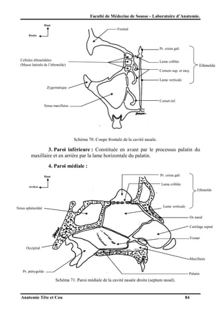 Anatomie tete-et-cou-2012