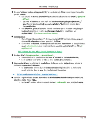 ANATOMIE 14 PDF.pdf