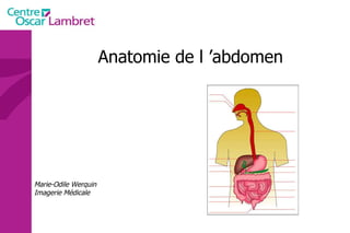 Anatomie de l ’abdomen Marie-Odile Werquin Imagerie Médicale 
