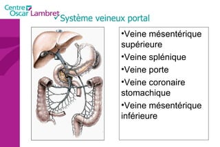Système veineux portal Veine mésentérique supérieure  Veine splénique  Veine porte  Veine coronaire  stomachique Veine mésentérique inférieure 