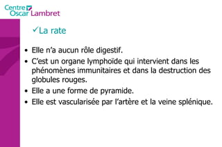 La rate Elle n’a aucun rôle digestif.  C’est un organe lymphoïde qui intervient dans les phénomènes immunitaires et dans la destruction des globules rouges.  Elle a une forme de pyramide. Elle est vascularisée par l’artère et la veine splénique. 