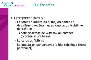 Il comporte 3 parties :  La tête: en arrière du bulbe, en dedans du deuxième duodénum et au dessus du troisième duodénum petit pancréas de Winslow ou crochet (processus unciforme) Le corps et l’isthme La queue: en contact avec le hile splénique (intra péritonéal) Le Pancréas 