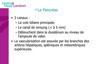 2 canaux : La voie biliaire principale. Le canal de wirsung (< à 5 mm) Débouchent dans le duodénum au niveau de l’ampoule de vater. La vascularisation est assurée par les branches des artères hépatiques, spléniques et mésentériques supérieures. Le Pancréas 