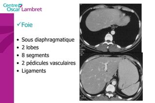 Foie Sous diaphragmatique 2 lobes 8 segments 2 pédicules vasculaires Ligaments 