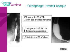 Œsophage : transit opaque cardia 1/3 sup = de C6 à T4:  25 cm des arcades dentaires 1/3 moyen = 25 à 28 cm     Région sous-carinaire  1/3 inférieur = 28 à 35 cm 