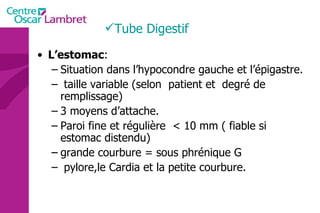 Tube Digestif L’estomac : Situation dans l’hypocondre gauche et l’épigastre. taille variable (selon  patient et  degré de remplissage) 3 moyens d’attache. Paroi fine et régulière  < 10 mm ( fiable si estomac distendu) grande courbure = sous phrénique G pylore,le Cardia et la petite courbure. 