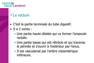 Le rectum C’est la partie terminale du tube digestif. Il a 2 zones : Une partie haute dilatée qui va former l’ampoule rectale. Une partie basse qui est rétrécie et qui traverse le périnée et s’ouvrir à l’extérieur par l’anus. Il est vascularisé par l’artère mésentérique inférieure. 