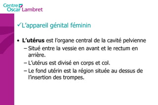 L’appareil génital féminin L’utérus  est l’organe central de la cavité pelvienne Situé entre la vessie en avant et le rectum en arrière. L’utérus est divisé en corps et col. Le fond utérin est la région située au dessus de l’insertion des trompes. 