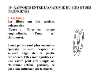 10- RAPPORTS ENTRE L'ANATOMIE DU BOIS ET SES
PROPRIETÉS
1 - Les fibres :
Les fibres ont des sections
polygonales
(figure : fibres en coupe
longitudinale, l’une est
cloisonnée).
Leurs parois sont plus ou moins
épaissies suivant l'espèce et
suivant l'âge de la partie
considérée. Elles sont lignifiées et
leur cavité peut être simple ou
cloisonnée (chêne, platane), ce
qui a une influence sur la dureté.
 