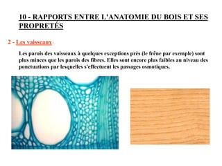 10 - RAPPORTS ENTRE L'ANATOMIE DU BOIS ET SES
PROPRETÉS
2 - Les vaisseaux:
Les parois des vaisseaux à quelques exceptions près (le frêne par exemple) sont
plus minces que les parois des fibres. Elles sont encore plus faibles au niveau des
ponctuations par lesquelles s'effectuent les passages osmotiques.
 