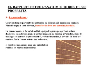 10- RAPPORTS ENTRE L'ANATOMIE DU BOIS ET SES
PROPRETÉS
3 - Le parenchyme :
Court ou long le parenchyme est formé de cellules aux parois peu épaisses.
Plus mou que le tissu fibreux, il confère au bois une certaine plasticité.
Le parenchyme est formé de cellules polyédriques à peu près de même
diamètre. Dans le bois jeune il sert de magasin de réserve à l'amidon. Dans le
bois âgé, ses cellules s'épaississent et, comme les fibres, il devient un tissu de
soutien. On le trouve autour des vaisseaux.
Il constitue également avec une orientation
radiale, les rayons médullaires.
 