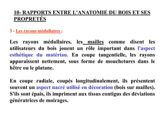 10- RAPPORTS ENTRE L'ANATOMIE DU BOIS ET SES
PROPRETÉS
3 - Les rayons médullaires :
Les rayons médullaires, les mailles comme disent les
utilisateurs du bois jouent un rôle important dans l'aspect
esthétique du matériau. En coupe tangentielle, les rayons
apparaissent nettement, sous forme de mouchetures dans le
hêtre ou le platane.
En coupe radiale, coupés longitudinalement, ils présentent
souvent un aspect nacré utilisé en décoration (bois sur mailles).
S'ils sont épais, ils impriment aux tissus contigus des déviations
génératrices de moirages.
 