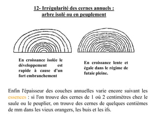 En croissance isolée le
développement est
rapide à cause d’un
fort embranchement
En croissance lente et
égale dans le régime de
futaie pleine.
12- Irrégularité des cernes annuels :
arbre isolé ou en peuplement
Enfin l'épaisseur des couches annuelles varie encore suivant les
essences : si l'on trouve des cernes de 1 où 2 centimètres chez le
saule ou le peuplier, on trouve des cernes de quelques centièmes
de mm dans les vieux orangers, les buis et les ifs.
 