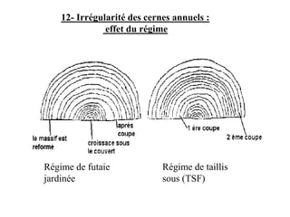 Régime de futaie
jardinée
Régime de taillis
sous (TSF)
12- Irrégularité des cernes annuels :
effet du régime
 