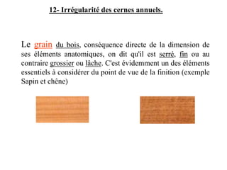 Le grain du bois, conséquence directe de la dimension de
ses éléments anatomiques, on dit qu'il est serré, fin ou au
contraire grossier ou lâche. C'est évidemment un des éléments
essentiels à considérer du point de vue de la finition (exemple
Sapin et chêne)
12- Irrégularité des cernes annuels.
 