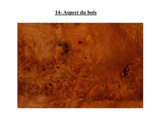 14- Aspect du bois
 