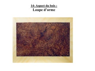 14- Aspect du bois :
Loupe d’orme
 