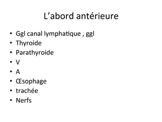 L’anatomie	par	devant,	par	derrière	
 