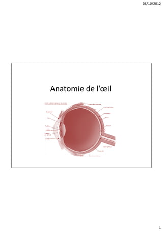 08/10/2012




Anatomie de l’œil




                            1
 