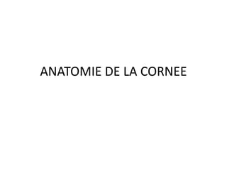 ANATOMIE DE LA CORNEE
 
