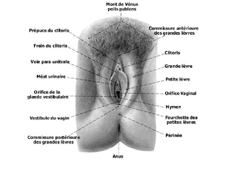 Où traiter la varicosité à louganske
