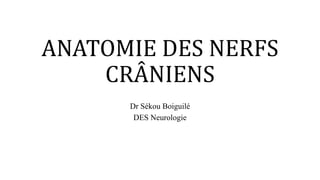 ANATOMIE DES NERFS
CRÂNIENS
Dr Sékou Boiguilé
DES Neurologie
 