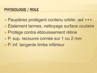 PHYSIOLOGIE / ROLE
 Paupières protègent contenu orbite: œil +++
 Étalement larmes, nettoyage surface oculaire
 Protège contre éblouissement rétine
 P. sup. recouvre cornée sur 1 ou 2 mm
 P. inf. tangente limbe inférieur
 