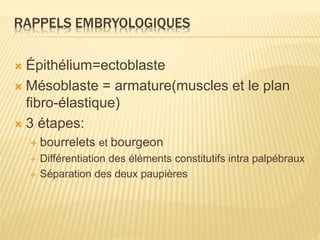 RAPPELS EMBRYOLOGIQUES
 Épithélium=ectoblaste
 Mésoblaste = armature(muscles et le plan
fibro-élastique)
 3 étapes:
 bourrelets et bourgeon
 Différentiation des éléments constitutifs intra palpébraux
 Séparation des deux paupières
 