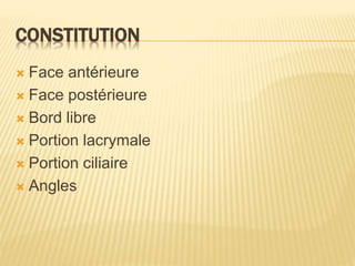 CONSTITUTION
 Face antérieure
 Face postérieure
 Bord libre
 Portion lacrymale
 Portion ciliaire
 Angles
 