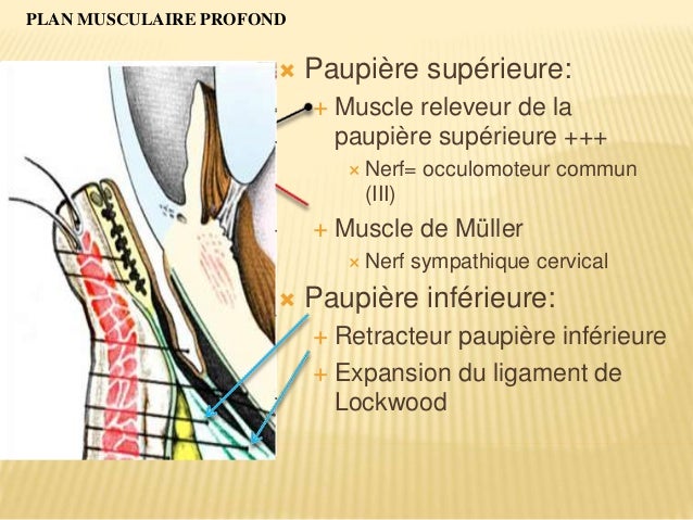 Fait mal le dos quel médicament accepter