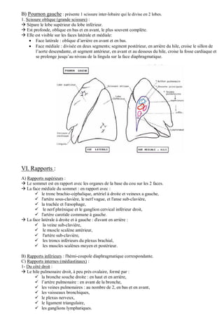 B) Poumon gauche : présente 1 scissure inter-lobaire qui le divise en 2 lobes.
1. Scissure oblique (grande scissure) :
 Sépare le lobe supérieur du lobe inférieur.
 Est profonde, oblique en bas et en avant, le plus souvent complète.
 Elle est visible sur les faces latérale et médiale:
 Face latérale : oblique d’arrière en avant et en bas.
 Face médiale : divisée en deux segments; segment postérieur, en arrière du hile, croise le sillon de
l’aorte descendante, et segment antérieur, en avant et au dessous du hile, croise la fosse cardiaque et
se prolonge jusqu’au niveau de la lingula sur la face diaphragmatique.
VI. Rapports :
A) Rapports supérieurs :
 Le sommet est en rapport avec les organes de la base du cou sur les 2 faces.
 La face médiale du sommet : en rapport avec :
 le tronc brachio-céphalique, artériel à droite et veineux a gauche,
 l'artère sous-clavière, le nerf vague, et l'anse sub-clavière,
 la trachée et l'œsophage,
 le nerf phrénique et le ganglion cervical inférieur droit,
 l'artère carotide commune à gauche.
 La face latérale à droite et à gauche : d'avant en arrière :
 la veine sub-clavière,
 le muscle scalène antérieur,
 l'artère sub-clavière,
 les troncs inférieurs du plexus brachial,
 les muscles scalènes moyen et postérieur.
B) Rapports inférieurs : l'hémi-coupole diaphragmatique correspondante.
C) Rapports internes (médiastinaux) :
1- Du côté droit :
 Le hile pulmonaire droit, à peu près ovalaire, formé par :
 la bronche souche droite : en haut et en arrière,
 l’artère pulmonaire : en avant de la bronche,
 les veines pulmonaires : au nombre de 2, en bas et en avant,
 les vaisseaux bronchiques,
 le plexus nerveux,
 le ligament triangulaire,
 les ganglions lymphatiques.
 