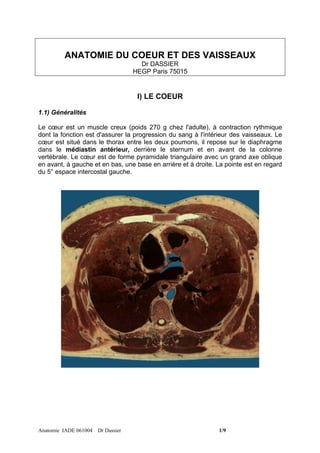 ANATOMIE DU COEUR ET DES VAISSEAUX
                                    Dr DASSIER
                                  HEGP Paris 75015


                                   I) LE COEUR

1.1) Généralités

Le cœur est un muscle creux (poids 270 g chez l'adulte), à contraction rythmique
dont la fonction est d'assurer la progression du sang à l'intérieur des vaisseaux. Le
cœur est situé dans le thorax entre les deux poumons, il repose sur le diaphragme
dans le médiastin antérieur, derrière le sternum et en avant de la colonne
vertébrale. Le cœur est de forme pyramidale triangulaire avec un grand axe oblique
en avant, à gauche et en bas, une base en arrière et à droite. La pointe est en regard
du 5° espace intercostal gauche.




Anatomie IADE 061004 Dr Dassier                                1/9
 