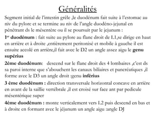 Généralités
Segment initial de l’intestin grêle ,le duodénum fait suite à l’estomac au
niv du pylore et se termine au niv de l’angle duodéno-jejunal en
pénétrant ds le mésentère ou il se poursuit par le jejunum :
1er
duodénum : fait suite au pylore au flanc droit de L1,se dirige en haut
en arrière et à droite ,entièrement peritonisé et mobile à gauche il est
ensuite accolé en arrière,il fait avec le D2 un angle assez aigu le genu
supérius
2éme duodénum: descend sur le flanc droit des 4 lombaires ,c’est ds
sa paroi interne que s’abouchent les canaux biliaires et pancréatiques ,il
forme avec le D3 un angle droit :genu inférius
3 éme duodénum : direction transversale horizontal concave en arrière
en avant de la saillie vertébrale ,il est croisé sur face ant par pedicule
mésentérique super
4éme duodénum : monte verticalement vers L2 puis descend en bas et
à droite en formant avec le jéjunum un angle aigu :angle DJ
 