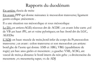 Rapports du duodénum
En arrière :fascia de treitz
En avant: PPP qui donne naissance à: mesocolon transverse; ligament
gastro-colique ;mésentere .
Il a une situation sus mésocolique et sous mésocolique
Le D1: en arriere:AGD, récessus drt de ACDE ; en avant: lobe carre ,col
de VB ;en haut :PE, art et veine pyloriques; en bas :bord drt du LGC,
AGEDte
L’ADJ: en haut: muscle de treitz,bord infer du corps du Ps,mesocolon
transverse ; en avant : colon transverse et son mesocolon ;en arriere:
bord ghe de l’aorte qui donne AMS et ARG, VRG (quadrilatere de
rogie) ;en bas: anss greles et mesentere ; a gauche: VMI, ACSG, arc
vascul de treitz,a distance le bord intern du rein gche ; a droite:racine du
mesentere ,vx mesenteriq super, vx de ADJ
 